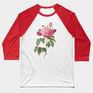 Enchanted Elegance: A Vintage Rose's Dance with Bees Baseball T-Shirt